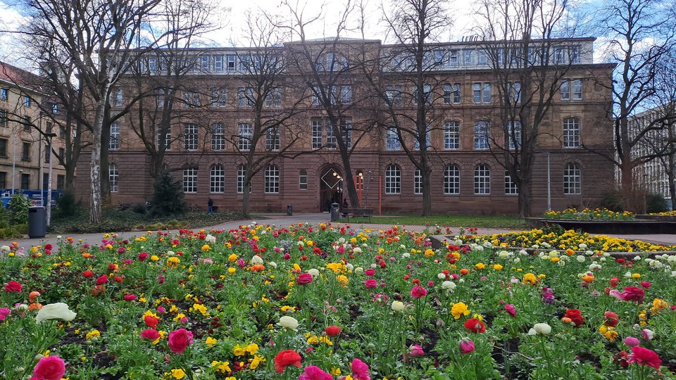 Hauptgebäude der HFT mit Frühlingsblumen